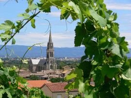 The church and surroundings in Cornas