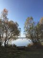 View of the lake