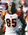 Chad Johnson