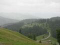 The Carpathian Mountains in Bukovina