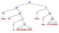 Syntax Tree for Wh-Cleft/Pseudo-Cleft sentence: "What Mary bought was a first edition"