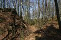 Old wall remains and ditch and bank system