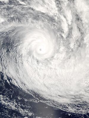 Image of Cyclone Heta on January 6, 2004.