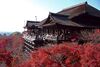 Kiyomizu-dera