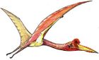 Quetzalcoatlus