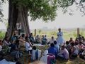 Tree shade meeting