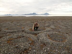 Stone rings on Spitsbergen