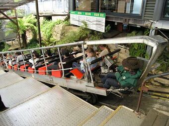 Katoomba Scenic Railway originally hauled coal.