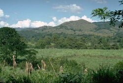 Cuilapa-Barbarena volcanic field