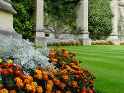 All Souls College