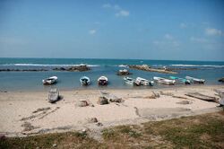 Fishing boats at the shoreline