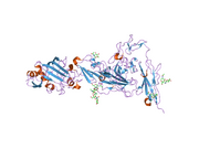 2gy7: Angiopoietin-2/Tie2 Complex Crystal Structure