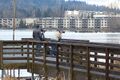 Birdwatchers on Juanita Bay Park's Lake Washington shoreline