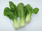 Green bok choy