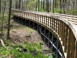 Elevated walkway